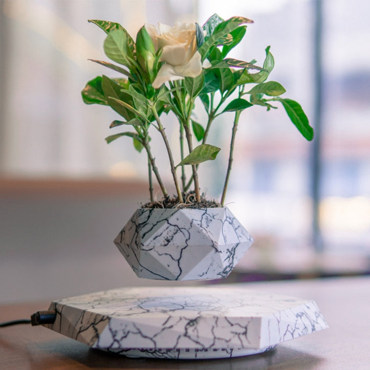 Levitating Flowerpot