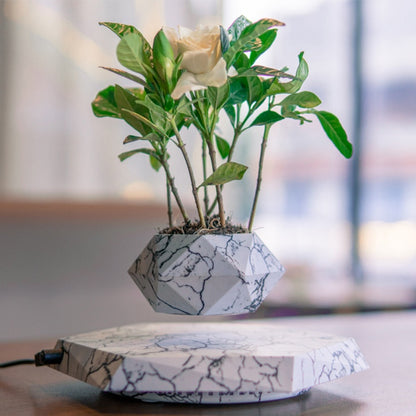 Levitating Flowerpot